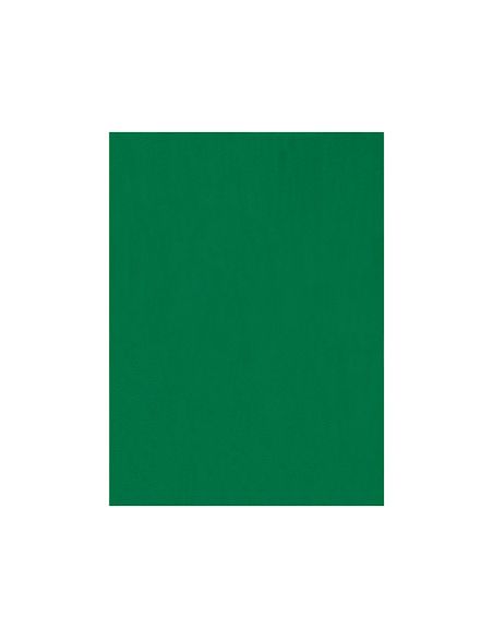 Fieltro Liderpapel 50X70Cm Verde 160G/M2