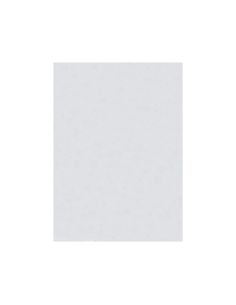 Fieltro Liderpapel 50X70Cm Blanco 160G/M2 2