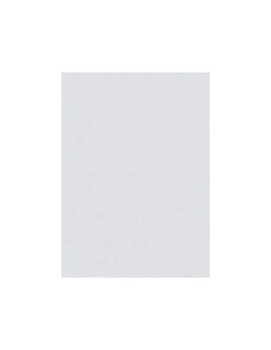Fieltro Liderpapel 50X70Cm Blanco 160G/M2