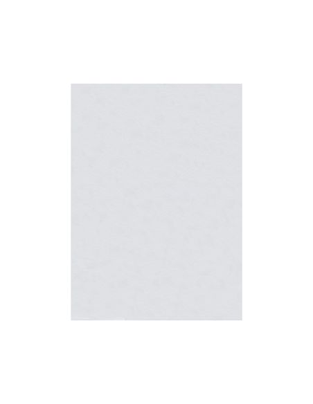 Fieltro Liderpapel 50X70Cm Blanco 160G/M2