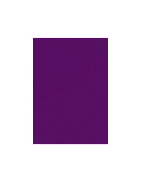 Fieltro Liderpapel 50X70Cm Violeta 160G/M2