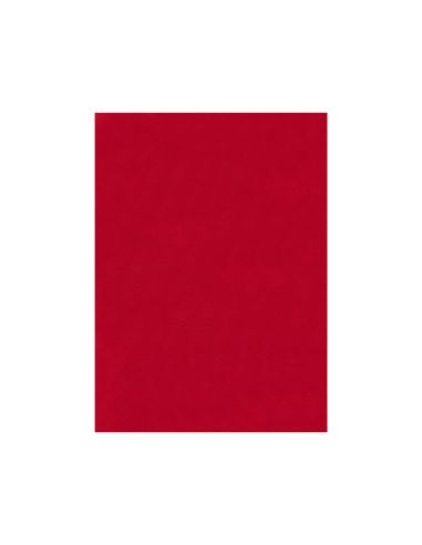 Fieltro Liderpapel 50X70Cm Rojo 160G/M2