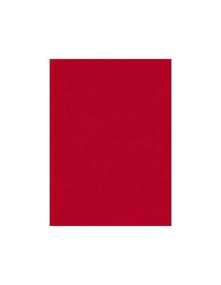 Fieltro Liderpapel 50X70Cm Rojo 160G/M2