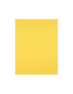 Cartulina Liderpapel 50X65 Cm 180G/M2 Amarillo Limon 2