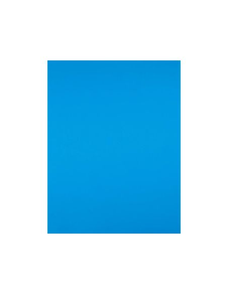 Cartulina Liderpapel 50X65 Cm 180G/M2 Azul Turquesa