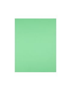 Cartulina Liderpapel 50X65 Cm Verde Pistacho 180 Gr Unidad 2