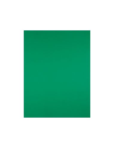 Cartulina Liderpapel 50X65 Cm Verde Navidad 180 Gr Unidad