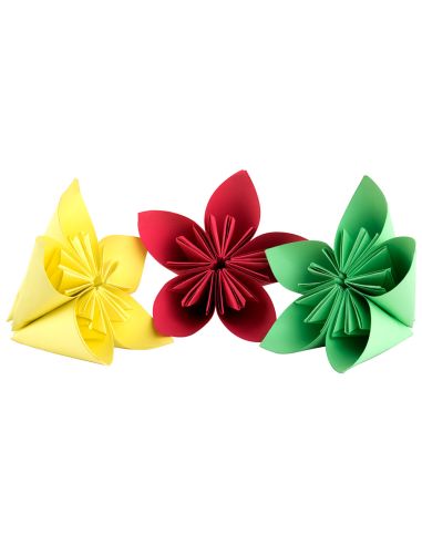 Cartulina Liderpapel 50X65 Cm Verde Navidad 180 Gr Unidad