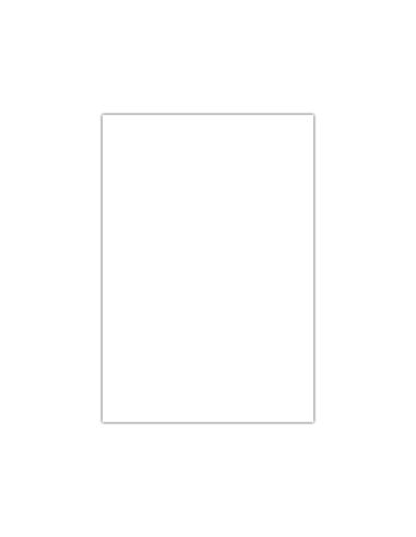 Cartulina Liderpapel 50X65 Cm 180G/M2 Blanco