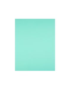 Cartulina Liderpapel 50X65 Cm 180G/M2 Verde 2