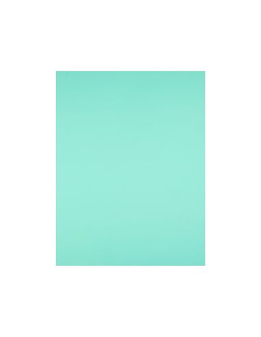 Cartulina Liderpapel 50X65 Cm 180G/M2 Verde