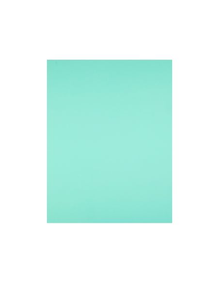 Cartulina Liderpapel 50X65 Cm 180G/M2 Verde