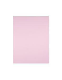Cartulina Liderpapel 50X65 Cm 180G/M2 Rosa 2