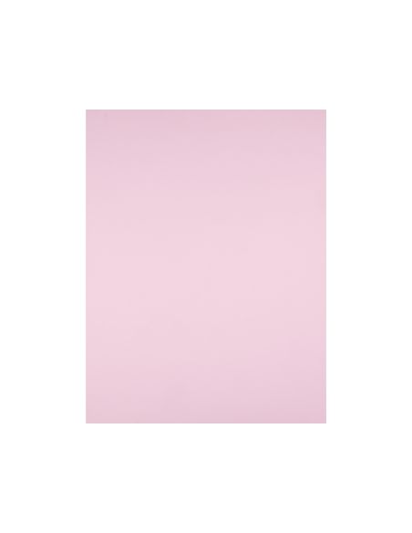 Cartulina Liderpapel 50X65 Cm 180G/M2 Rosa