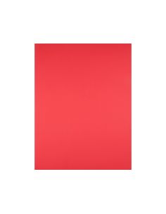 Cartulina Liderpapel 50X65 Cm 180G/M2 Rojo 2