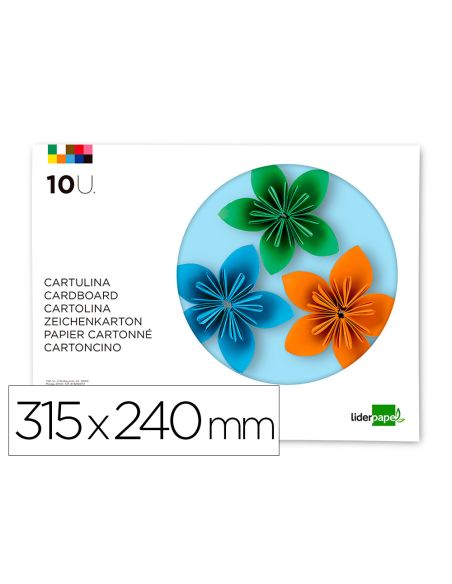 Bloc Trabajos Manuales Liderpapel Cartulina 240X315Mm 10 Hojas Colores Surtidos