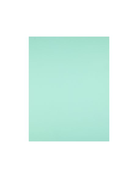 Cartulina Liderpapel 50X65 Cm 180G/M2 Verde Paquete De 25 Hojas