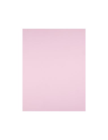 Cartulina Liderpapel 50X65 Cm 180G/M2 Rosa Paquete De 25 Hojas