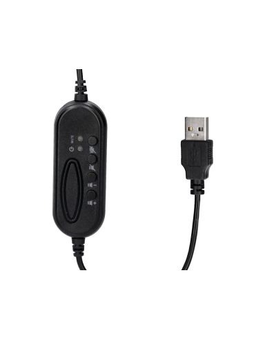 Auricular Q-Connect Binaural Diadema Con Microfono Y Control De Volumen Conexion Usb Cable De 2M Color Negro