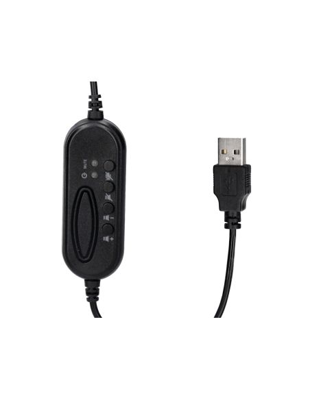 Auricular Q-Connect Binaural Diadema Con Microfono Y Control De Volumen Conexion Usb Cable De 2M Color Negro