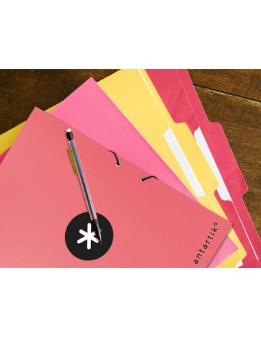 Carpeta Antartik Clasificadora A4 12 Departamentos Gomas Carton Forrado Color Coral