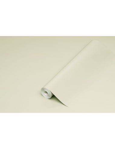 Rollo Adhesivo D-C-Fix Gris Claro Mate Ancho 45 Cm Largo 15 Mt