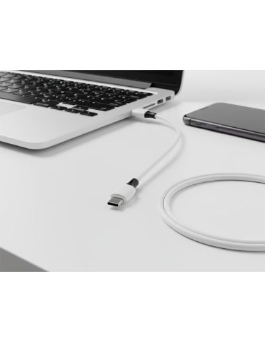 Cable Usb-C A Usb-A Q-Connect Pvc Longitud 2M Blanco