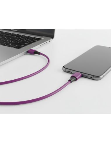 Cable Usb-C A Usb-C Q-Connect Pvc Longitud 2M Morado