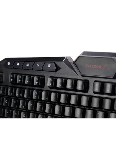 Set Teclado Y Raton Q-Connect Con Cable E Iluminacion Led Color Negro