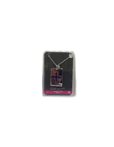 Medalla Rectangular Cadena Plata 21X14Mm